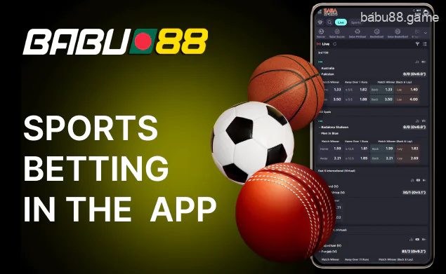 Sports betting offers you 40 sports in the Babu88 App