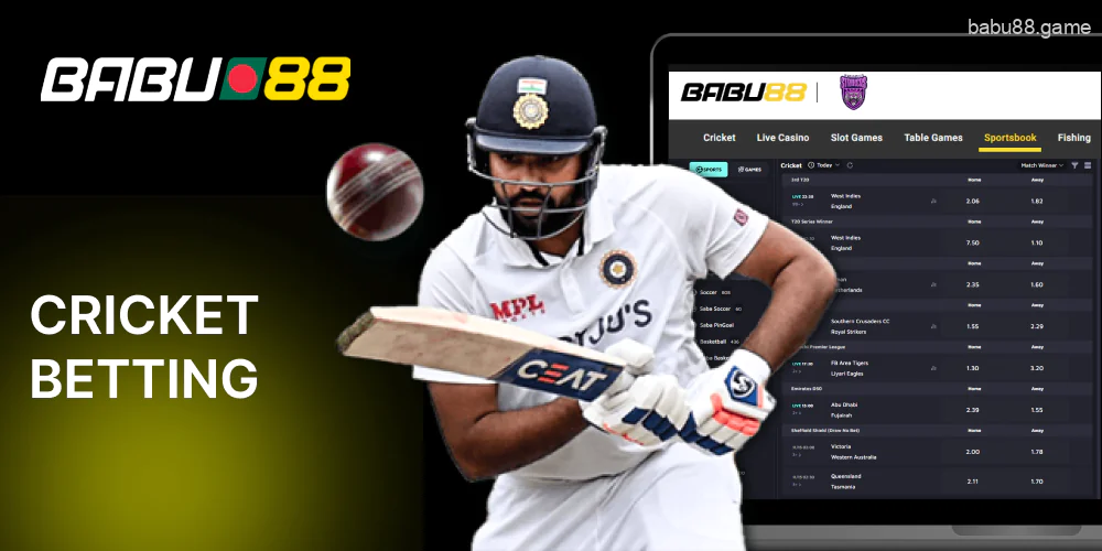 There are two cricket sportsbooks on the Babu88 bet site