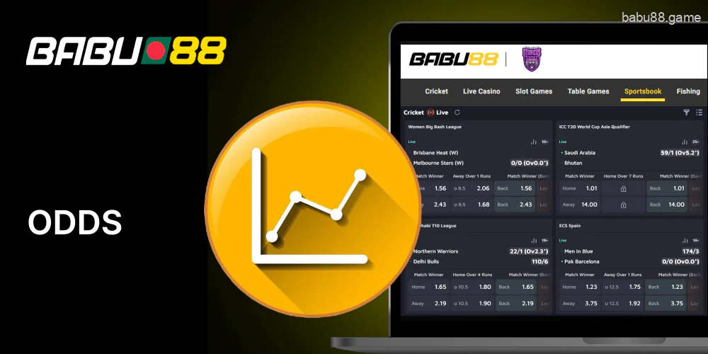 You can find different odds formats on the Babu88 website