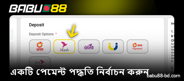 Babu88 -এ একটি আমানত পদ্ধতি নির্বাচন করুন