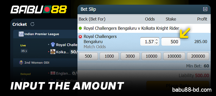 Enter bet amount for cricket at Babu88