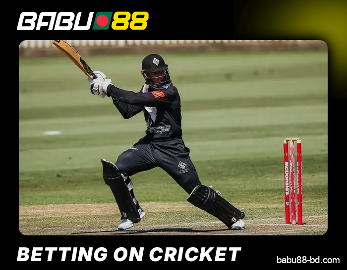 Cricket betting for Babu88 users in Bangladesh