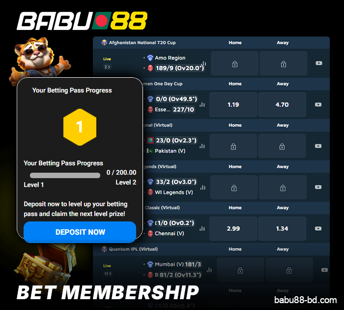 What is the loyalty program at Babu88