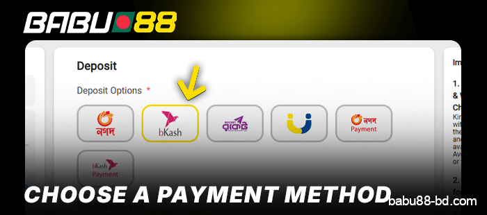 Choose a deposit method at Babu88 BD
