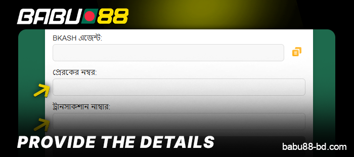 Enter deposit details at Babu88 Casino